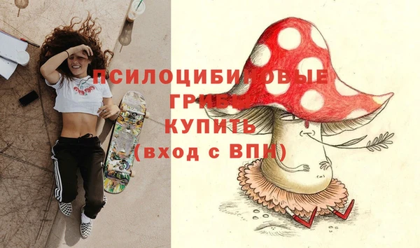мдпв Армянск