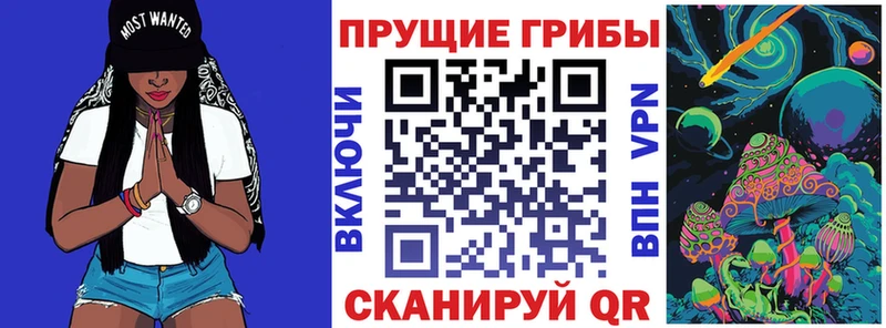 Псилоцибиновые грибы Magic Shrooms  omg рабочий сайт  Татарск 